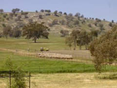 Hovells Creek farmland.jpg